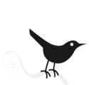 twitter bird